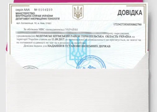 перевод справки о несудимости